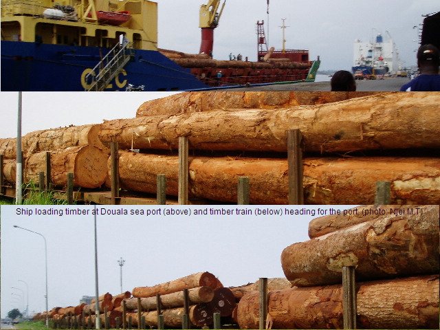 Timber leaving Cameroon (photo: Njei M.T)